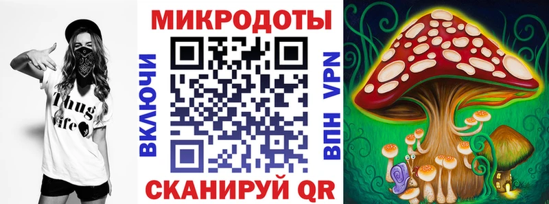 дарк нет клад  Истра  Галлюциногенные грибы MAGIC MUSHROOMS 